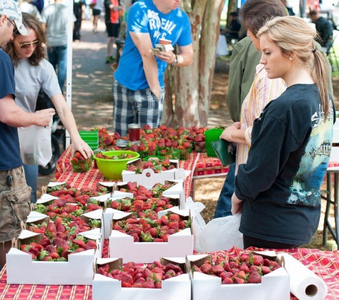 Woman stands behind a table full of boxed strawberries for sale at the Palafox Market in Downtown Pensacola