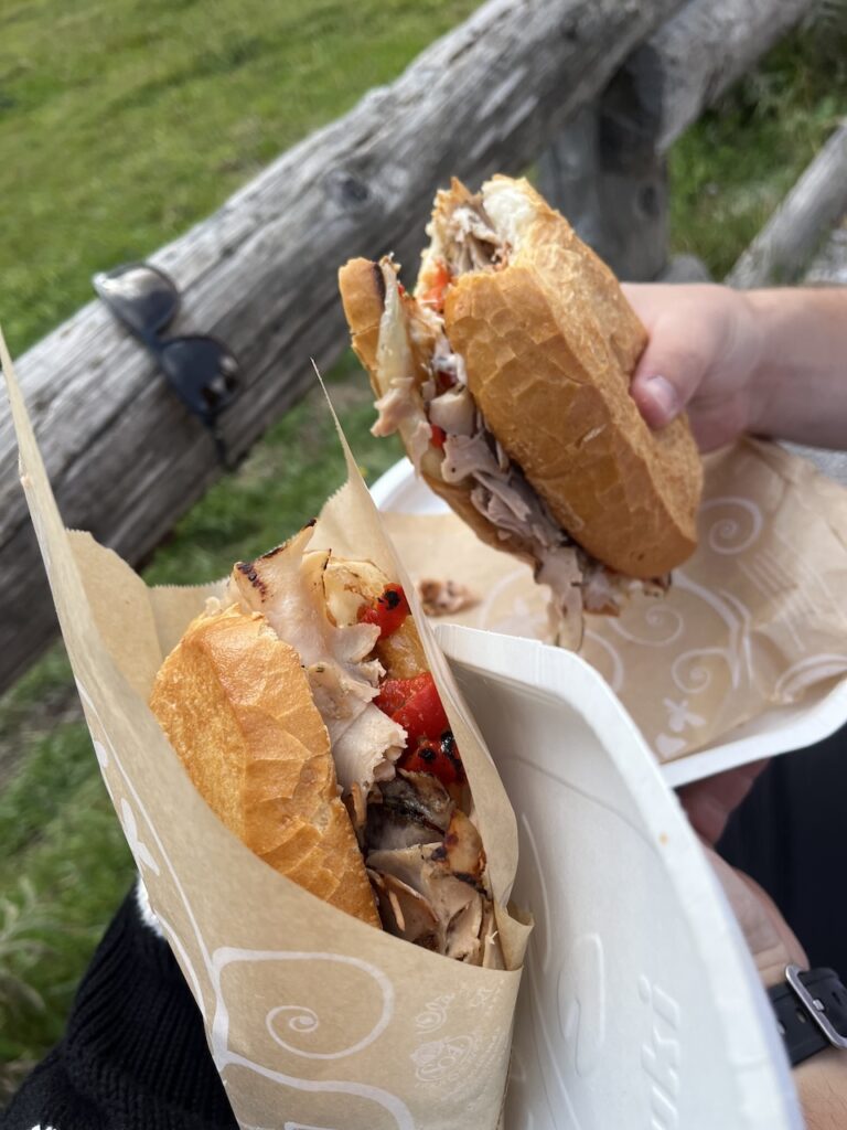 Two hands hold up meaty panini sandwiches outdoors