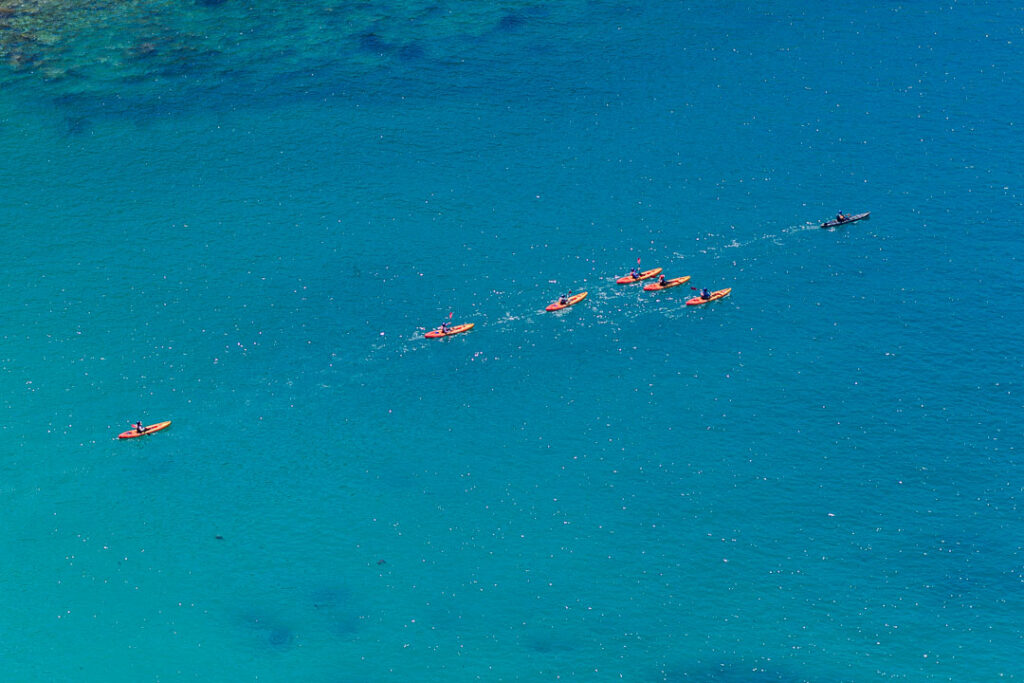 group of orange kayaks cuts through the middle of Potato Harbor at Santa Cruz Island, Channel Islands National Park