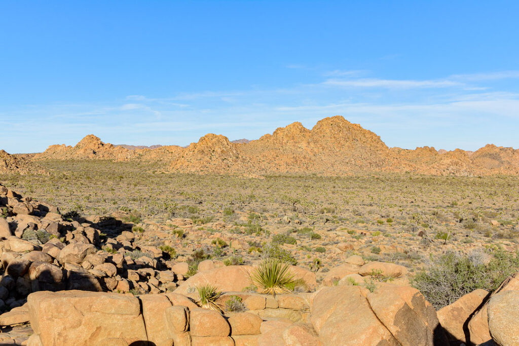 Expansive valley view from the Bigfoot trail at Joshua Tree National Park